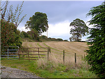  : Newly harvested field at Killqueeny by Oliver Dixon