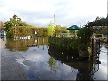 TQ1673 : Outside the White Swan at Riverside, Twickenham by Marathon