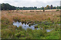 SU8357 : Open heath, Hawley Common by Alan Hunt