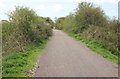 ST4260 : Strawberry Line at Sandmead Rhyne by Derek Harper