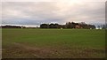 SE6337 : Flat landscape towards the rear of Riccall Grange by Benjamin Shaw