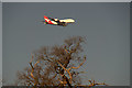 SU9674 : On the flightpath, Windsor Great Park by Mike Pennington