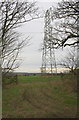 SP4707 : Gateway and pylon viewed from path in Wytham Park by Roger Templeman