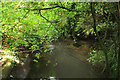 SU8346 : Channel of the north branch of the Wey near Farnham by Derek Harper