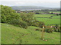 ST4154 : Bridle path at Cross, near Axbridge by Malc McDonald