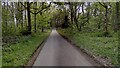 SP4608 : Driveway in Wytham Wood by Shaun Ferguson