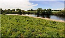  : View across River Esk towards MOD Longtown by Roger Templeman