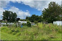 SP2966 : Abandoned allotment, Warwick by Robin Stott