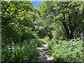 SJ8252 : Path into Parrot's Drumble by Jonathan Hutchins