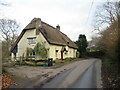 SY9898 : Thatched cottage on Brog Street, near Corfe Mullen by Malc McDonald