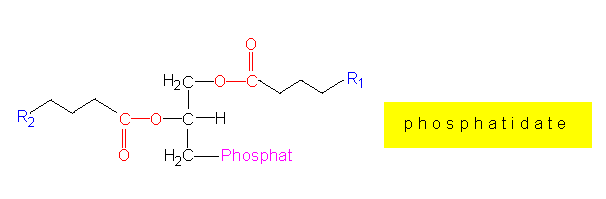 LON-CAPA Botany online: Ions and Small Molecules - Lipids