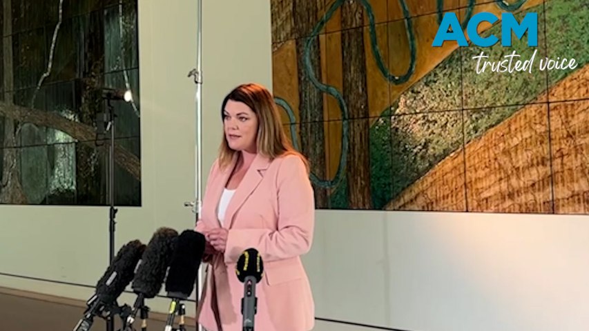 Senator Sarah Hanson-Young warns Australians to be wary of the machinations of tech billionaires. Video by AAP