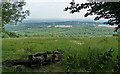 TQ3653 : View from Tandridge Hill by Stephen Richards