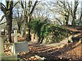 SP0588 : Key Hill Cemetery, Hockley: steps between the upper and lower areas by Robin Stott