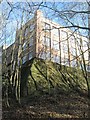 SP0588 : Key Hill Cemetery, Hockley: the quarry sides below Spencer Street by Robin Stott