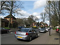 SP0481 : On Sycamore Road - Bournville, Birmingham by Martin Richard Phelan