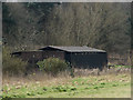 SU8346 : Shed beside the River Wey by Alan Hunt