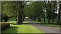 SU9776 : Avenue in Windsor Home Park by John Welford