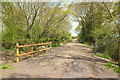 ST4362 : Strawberry Line southwest of Congresbury by Derek Harper