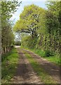 ST4160 : Approaching Droveway Bridge by Derek Harper