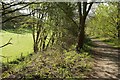 ST4255 : Strawberry Line approaching Axbridge by Derek Harper