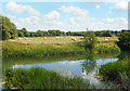 SU2398 : Riverside Landscape near Buscot by Des Blenkinsopp