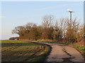 TL5904 : Driveway in a field near Ongar by Malc McDonald