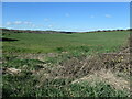 SE3115 : Hollingthorpe farmland by Christine Johnstone