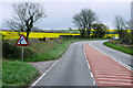 SX3560 : A38 between Tideford and Landrake by David Dixon