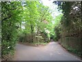 SU8338 : Lane junction near Bordon by Malc McDonald