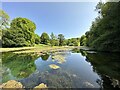 SY5888 : Bridehead Lake, Little Bredy by Gary Rogers