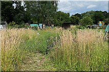 SP2966 : Sheds, Warwick by Robin Stott