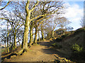 SE0051 : Bridleway to Skipton Moor by John Winterbottom