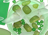 Green Tumbled & Matte Glass Beads