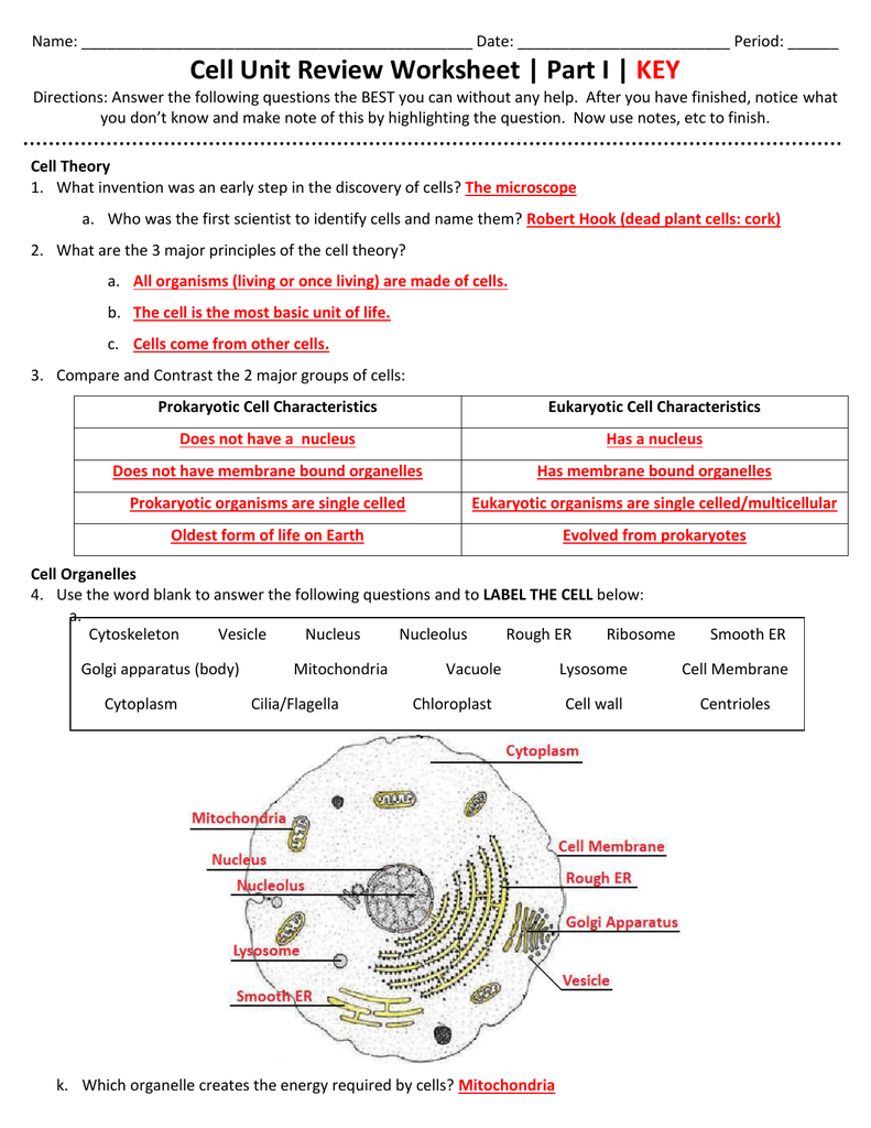 Cells And Organelles Worksheet