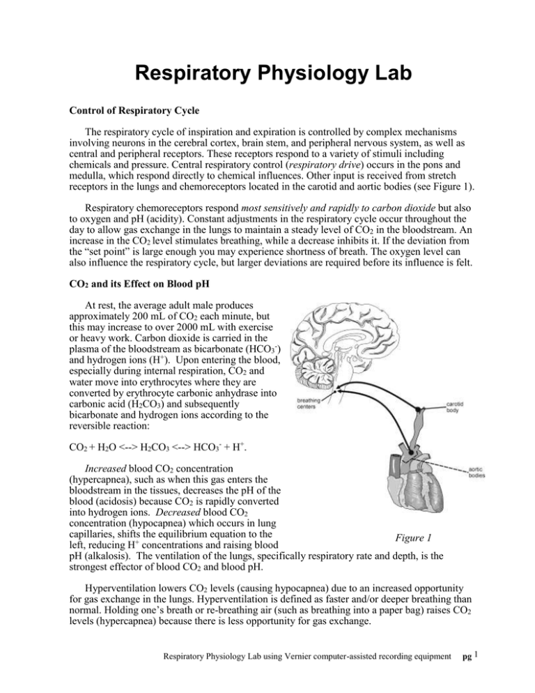 Respiratory Physiology Lab