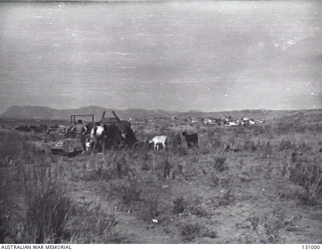 CANEA (HANIA), CRETE. 1945-06-10. LOOKING TOWARDS THE TOWN, THE ...