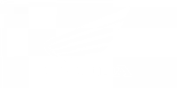 HONDA MOTORCYCLES