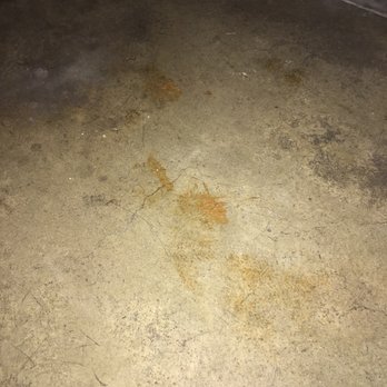 Men's bathroom inside pool/gym area poop on floor