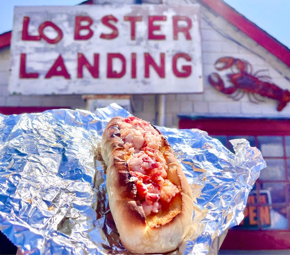 Photo of Lobster Landing - Clinton, CT, United States. lobster roll - 1/4lb hot lobster meat on a toasted sub roll with lemon and melted butter