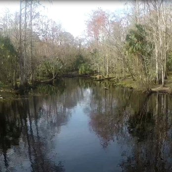 Quick Hike at Cypress Creek Preserve Looking South down Cypress Creek at the spillway