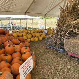 Hogan Farms Pumpkin Patch & Corn Maze on Yelp