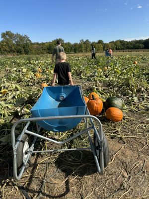 Photo of Dull’s Tree Farm - Thorntown, IN, US.