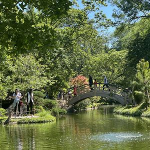 Fort Worth Botanic Garden on Yelp