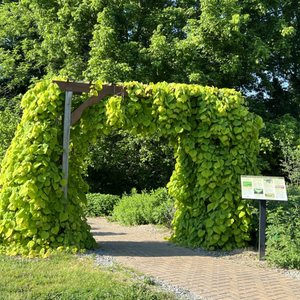 Boone County Arboretum on Yelp