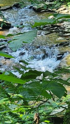 Photo of Otter Creek Campground - Airville, PA, US.