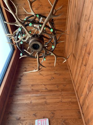 Photo of Pioneer of Texas - Wichita Falls, TX, US. antlers and a magazine on the floor