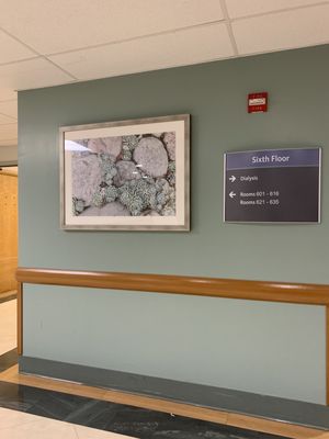 Photo of St. Anthony's Hospital - Saint Petersburg, FL, US. On 6th floor