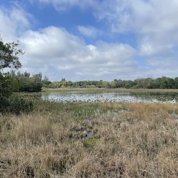 Walk around the boardwalk over the marsh.