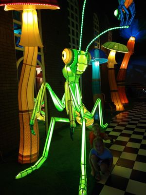 Photo of Ripley's Believe It Or Not - Wisconsin Dells, WI, US. Weird bugs now replaced with "artsy" bugs.